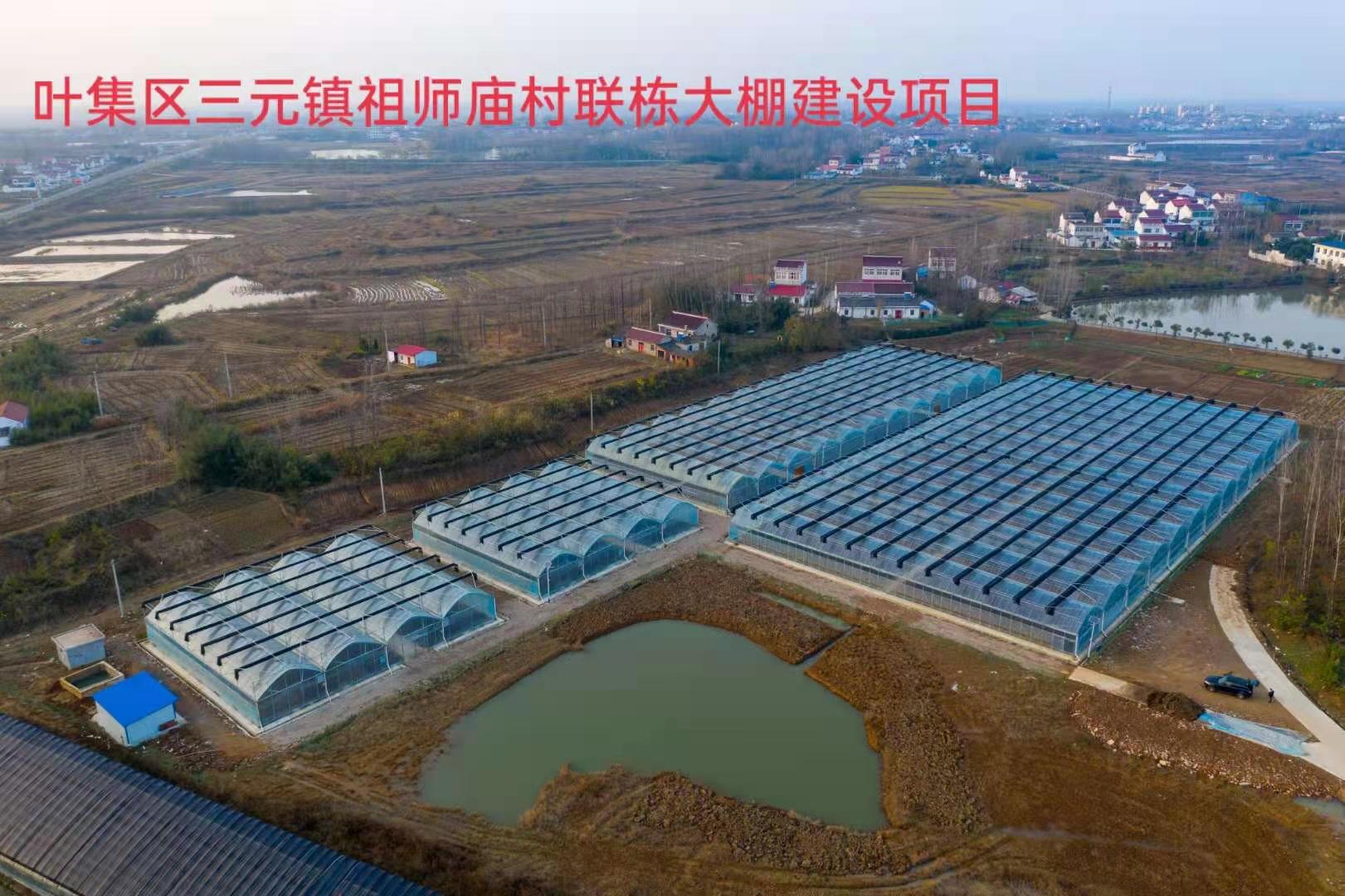 葉集區(qū)三元鎮(zhèn)祖師廟村聯(lián)棟大棚建設(shè)項(xiàng)目